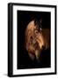 Horse-Fabio Petroni-Framed Premium Photographic Print