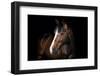 Horse-Fabio Petroni-Framed Photographic Print