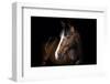 Horse-Fabio Petroni-Framed Photographic Print