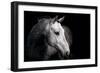 Horse-Fabio Petroni-Framed Photographic Print