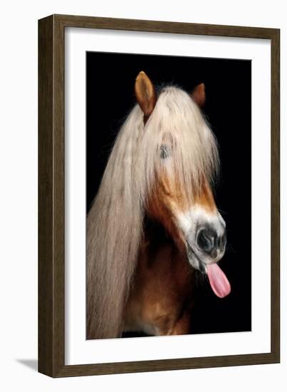 Horse-Fabio Petroni-Framed Photographic Print