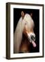 Horse-Fabio Petroni-Framed Photographic Print