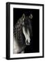 Horse-Fabio Petroni-Framed Photographic Print