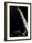 Horse-Fabio Petroni-Framed Photographic Print