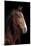 Horse-Fabio Petroni-Mounted Photographic Print