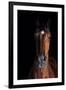 Horse-Fabio Petroni-Framed Photographic Print