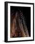 Horse-Fabio Petroni-Framed Photographic Print