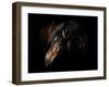 Horse-Fabio Petroni-Framed Photographic Print