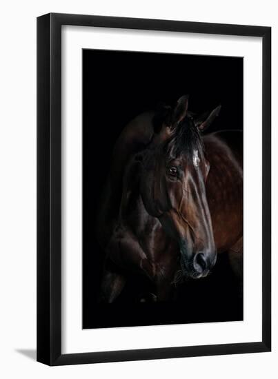 Horse-Fabio Petroni-Framed Photographic Print