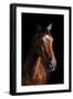 Horse-Fabio Petroni-Framed Photographic Print