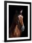 Horse-Fabio Petroni-Framed Photographic Print