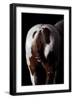 Horse-Fabio Petroni-Framed Photographic Print