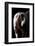 Horse-Fabio Petroni-Framed Photographic Print