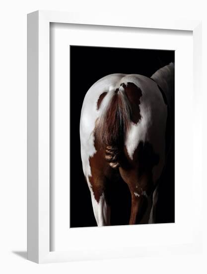 Horse-Fabio Petroni-Framed Photographic Print