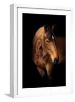 Horse-Fabio Petroni-Framed Photographic Print