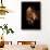 Horse-Fabio Petroni-Framed Photographic Print displayed on a wall