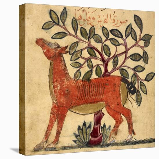 Horse-Aristotle ibn Bakhtishu-Stretched Canvas