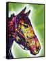 Horse-Dean Russo-Framed Stretched Canvas