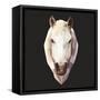 Horse-Lora Kroll-Framed Stretched Canvas