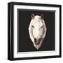 Horse-Lora Kroll-Framed Art Print