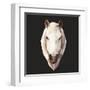 Horse-Lora Kroll-Framed Art Print