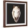 Horse-Lora Kroll-Framed Art Print