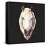 Horse-Lora Kroll-Framed Stretched Canvas