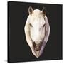 Horse-Lora Kroll-Stretched Canvas