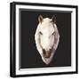 Horse-Lora Kroll-Framed Art Print