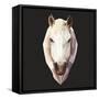 Horse-Lora Kroll-Framed Stretched Canvas