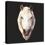 Horse-Lora Kroll-Stretched Canvas