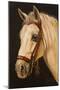 Horse-Nelly Arenas-Mounted Art Print