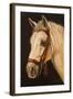 Horse-Nelly Arenas-Framed Art Print