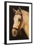 Horse-Nelly Arenas-Framed Art Print