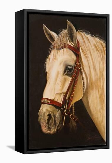 Horse-Nelly Arenas-Framed Stretched Canvas