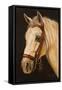 Horse-Nelly Arenas-Framed Stretched Canvas