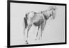 Horse-David Studwell-Framed Giclee Print