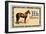 Horse-null-Framed Art Print