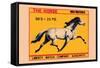 Horse-null-Framed Stretched Canvas