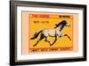 Horse-null-Framed Art Print