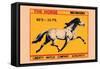 Horse-null-Framed Stretched Canvas