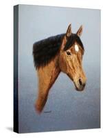 Horse-Richard Burns-Stretched Canvas