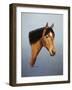Horse-Richard Burns-Framed Giclee Print