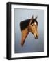 Horse-Richard Burns-Framed Giclee Print