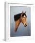 Horse-Richard Burns-Framed Giclee Print