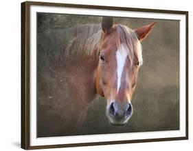 Horse-Mark Ashkenazi-Framed Premium Giclee Print