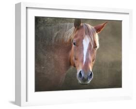 Horse-Mark Ashkenazi-Framed Giclee Print