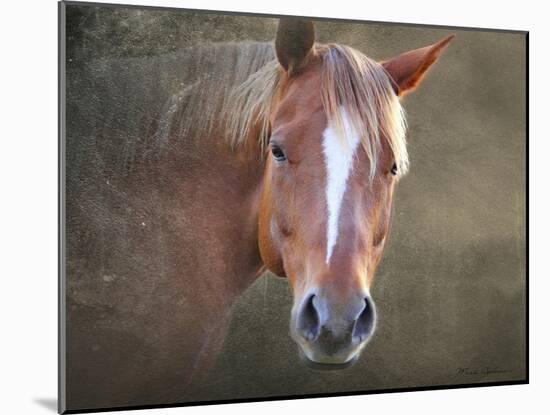 Horse-Mark Ashkenazi-Mounted Giclee Print