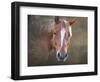 Horse-Mark Ashkenazi-Framed Giclee Print