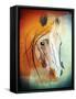 Horse-Mark Ashkenazi-Framed Stretched Canvas